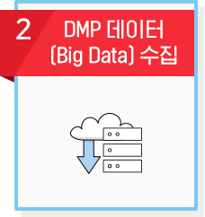 2. DMP 데이터(Big Data) 수집